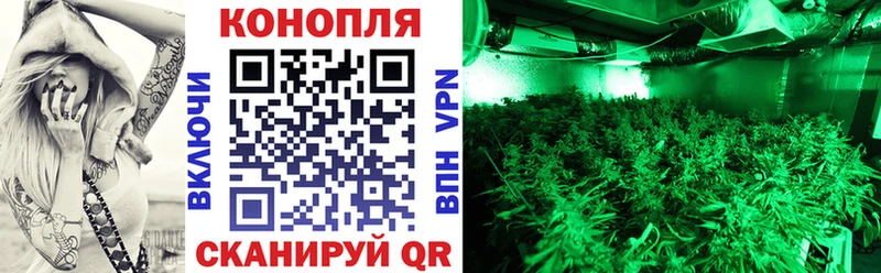 Конопля OG Kush  Тейково 